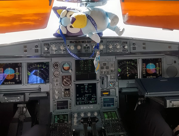 Image of Bluey in the cockpit