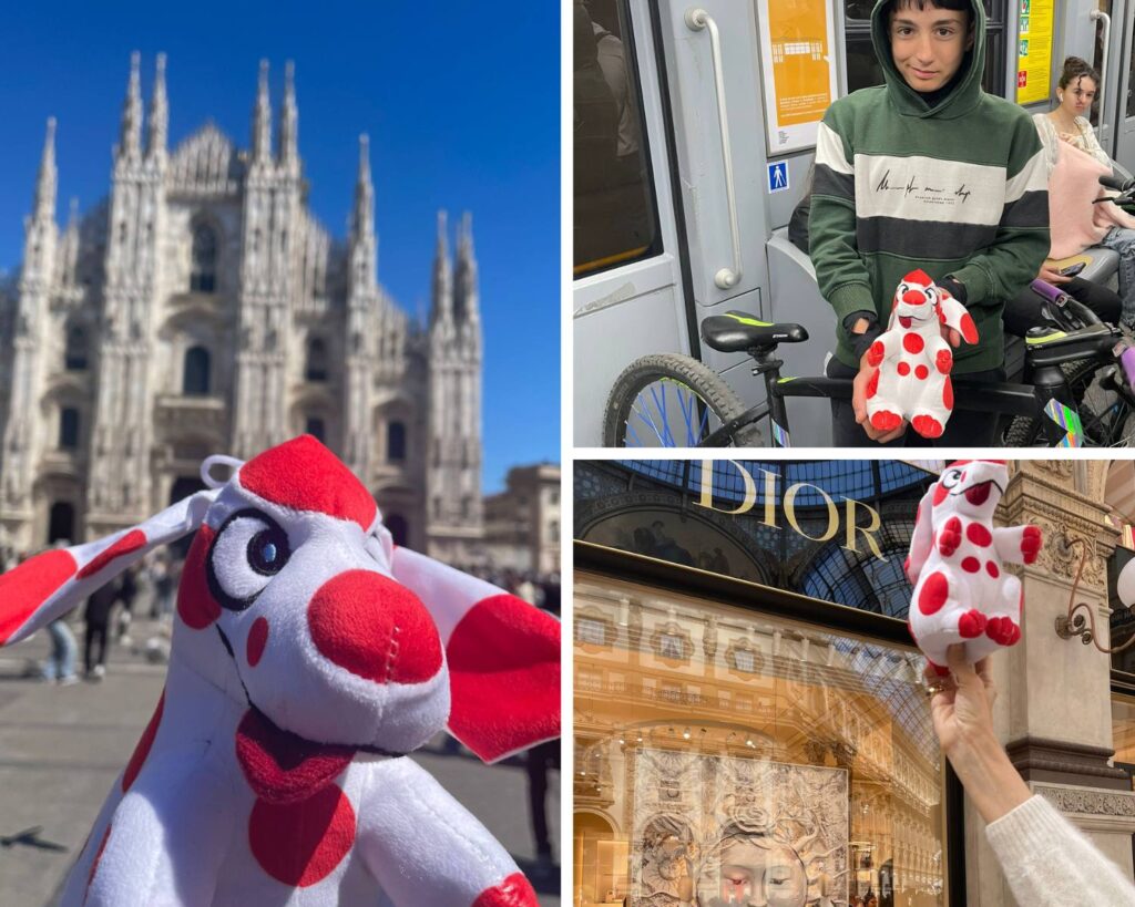 Photo collage of Pimpa's trip in Verona